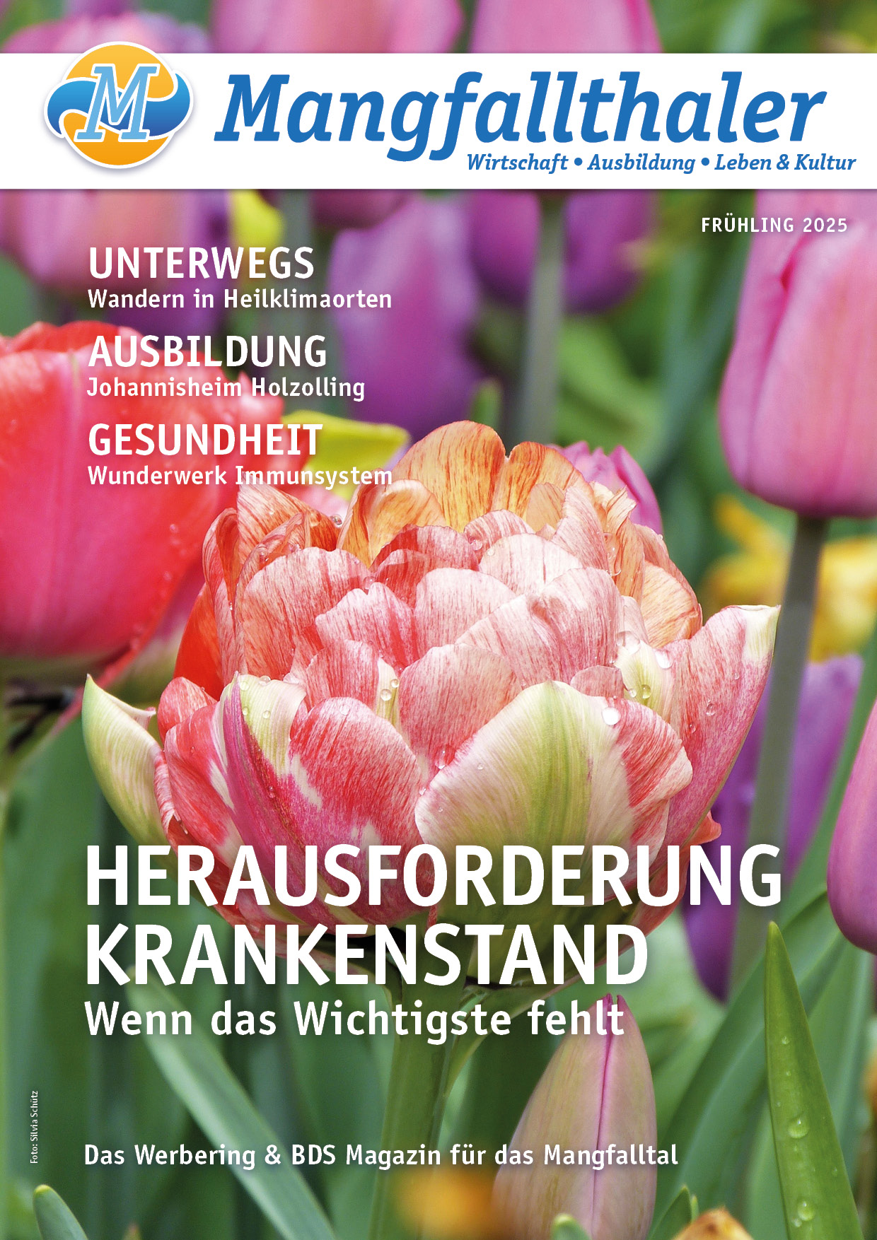MT Fruehjahr 2025 0001